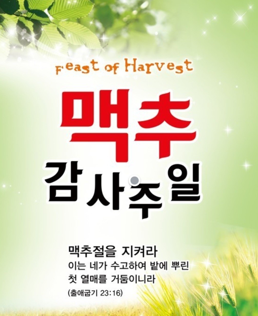 KakaoTalk_20240804_162732243_02.jpg